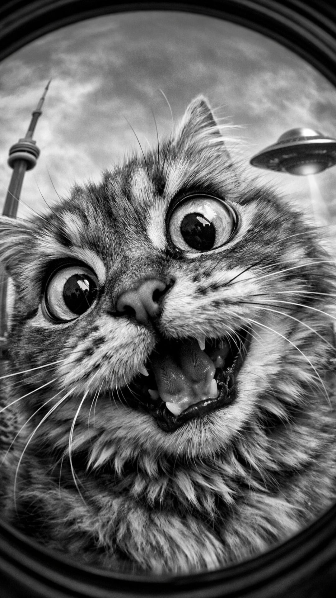 Close-up of a cat with a surprised expression, Toronto background that includes the CN Tower and a spaceship